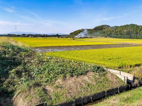 三重県鈴鹿市庄野町　秋の田園風景 田園風景,田圃,田畑の写真素材