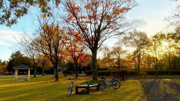 紅葉の北部公園（金沢） 紅葉,秋,公園の写真素材