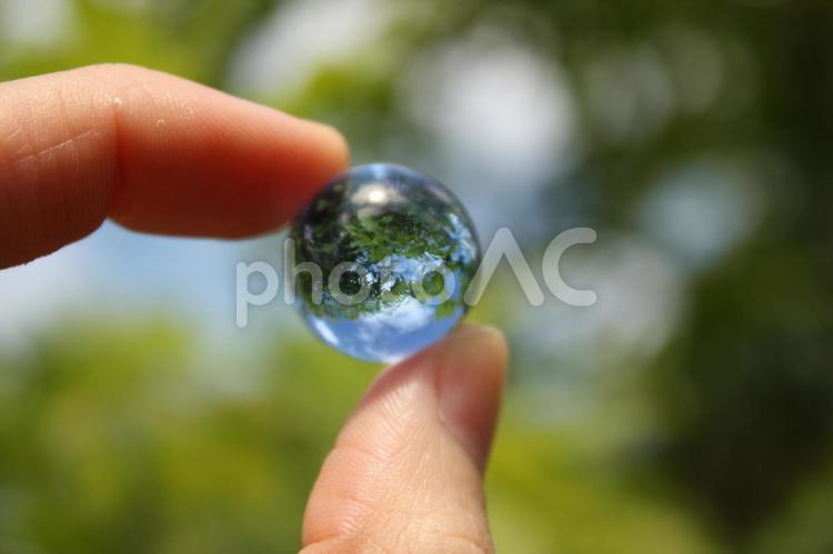 ビー玉の中の木 ビー玉,木,ガラス玉の写真素材