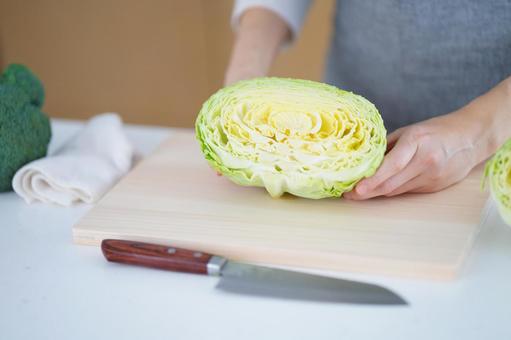キャベツの断面を見せながら持つ手 キャベツ,半分,断面の写真素材