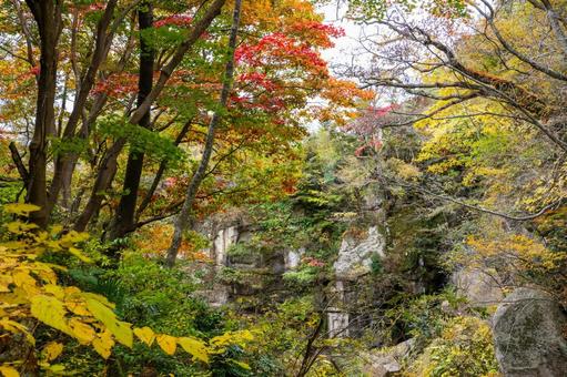 秋の磊々峡(33) 秋,紅葉,磊々峡の写真素材