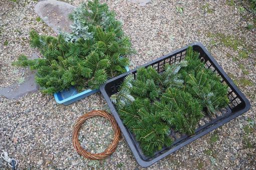 リースとスワッグの素材 スワッグ,もみの木,素材の写真素材