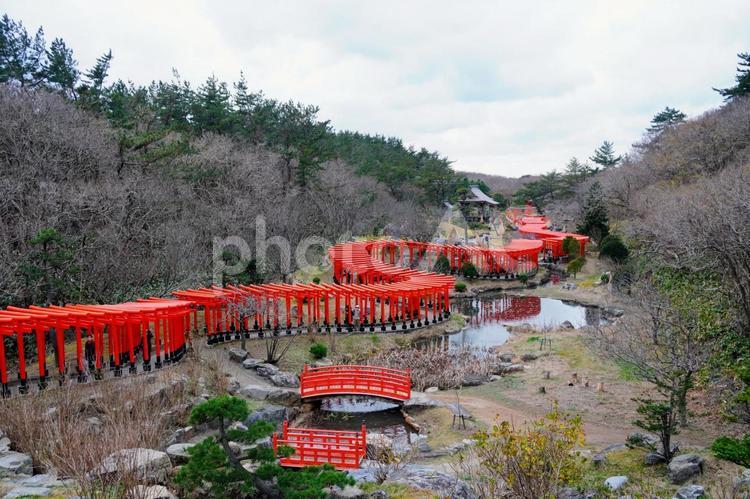 青森県つがる市髙山稲荷神社の赤い鳥居 青森,つがる,津軽半島の写真素材