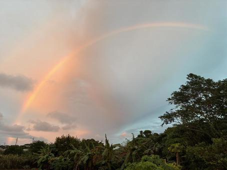 虹 虹,空,自然の写真素材