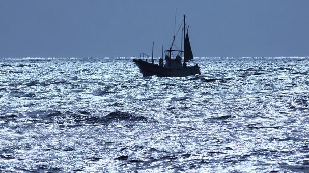 南伊豆町の海で漁をする漁船 南伊豆町の海で漁をする漁船 海,太平洋,大海原の写真素材
