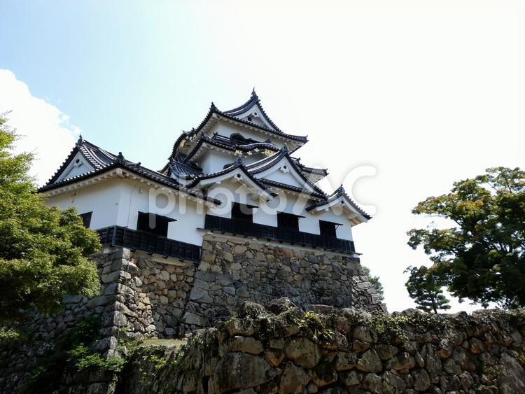 彦根城と石垣 彦根城,お城,石垣の写真素材