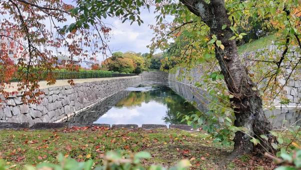 京都 城 京都,城,二条城の写真素材
