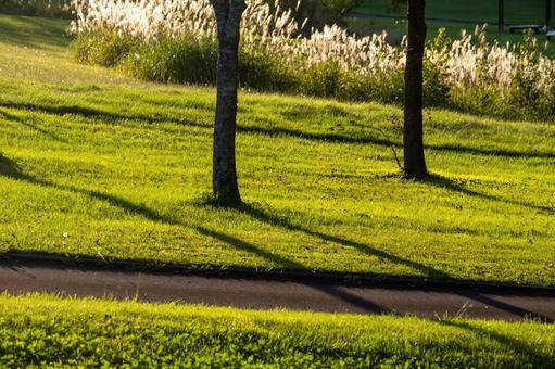 日没前の柔らかな光に包まれた緑豊かな公園 噴火湾パノラマパーク,芝生広場,公園の写真素材