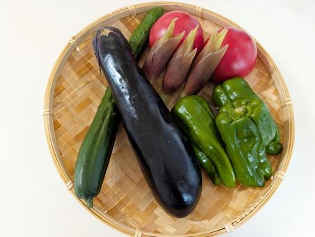 夏野菜 夏野菜 野菜,夏野菜,ピーマンの写真素材