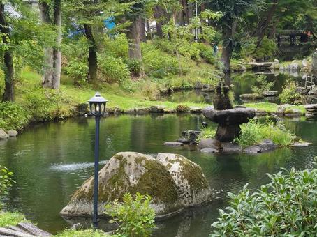 池 池 和風,池,自然の写真素材
