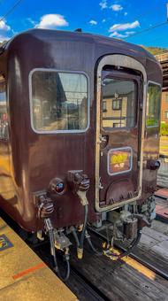 電車_大樹 電車_大樹の写真