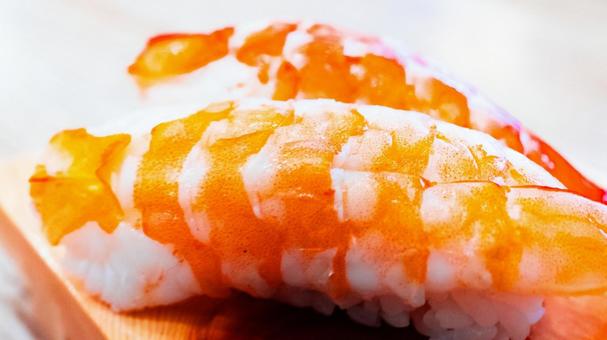 エビのにぎり寿司 エビのにぎり寿司 海老,にぎり寿司,寿司の写真素材