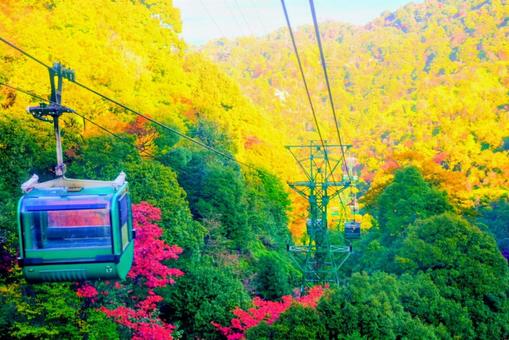 日本三景宮島ロープウェイ 宮島,ロープウェイ,紅葉の写真素材