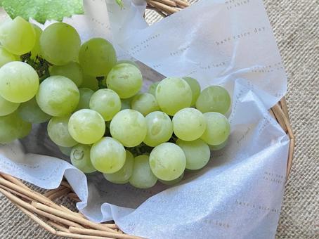 マスカット マスカット,ぶどう,フルーツの写真素材