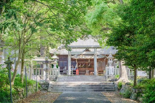 浜松市 気賀 細江神社の拝殿(静岡) 浜松市 気賀 細江神社の拝殿(静岡) 細江神社,浜松市,浜松の写真素材