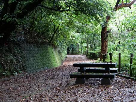 城山公園 城山公園 鹿児島市,城山,西郷隆盛の写真素材