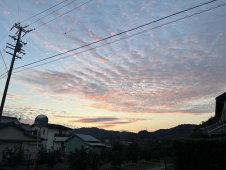 朝焼け 朝焼けの写真