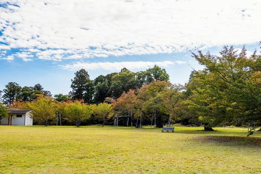 秋の公園⑵の写真