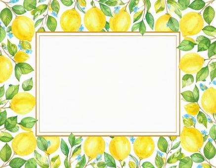 レモンの飾り枠の写真