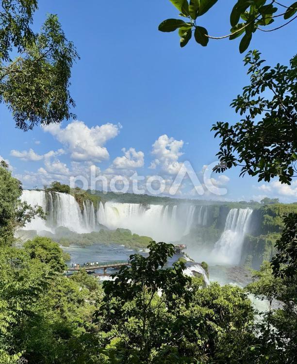 アルゼンチン　イグアスの滝 公園,木漏れ日,美しいの写真素材
