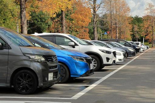 駐車場のたくさんの自動車 自動車,車,乗用車の写真素材