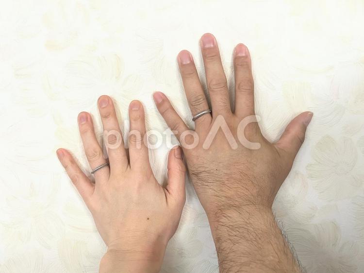 男性と女性の手の甲 手の甲,男性,女性の写真素材