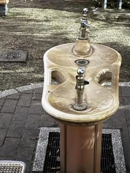 水飲み場 水飲み場 水飲み場,公園,公共の場所の写真素材