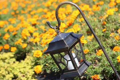 花 花の写真