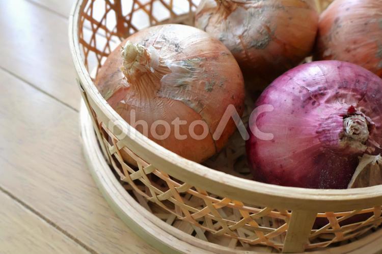 家庭菜園で収穫した玉ねぎ・赤玉ねぎアップ 収穫,家庭菜園,野菜の写真素材