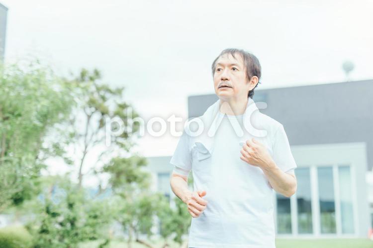 トレーニングする中高年男性（ウォーキング・半袖） ウォーキング,有酸素運動,歩くの写真素材