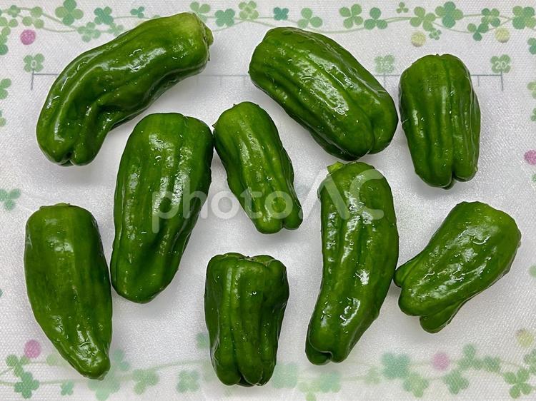 まな板の上のピーマン ピーマン,まな板,野菜の写真素材