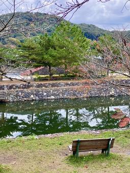宇治川のベンチ〜晩秋〜 宇治川のベンチ〜晩秋〜の写真