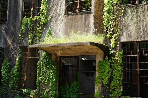 広島 大久野島 発電所跡6 広島 大久野島 発電所跡6 大久野島発電所跡,発電所跡,廃墟の写真素材