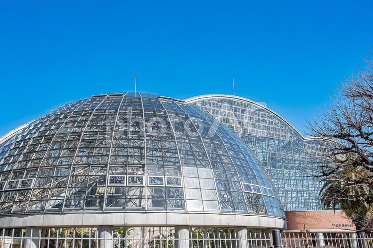 東京　江東区　夢の島熱帯植物館 風景,景色,東京の写真素材