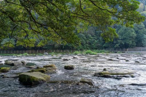関之尾公園 川,河川,関之尾公園の写真素材