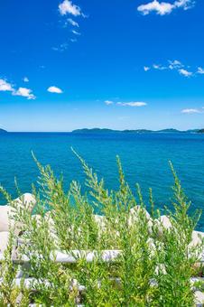 海岸沿いから眺める夏の海 海岸沿いから眺める夏の海 海,海岸,海岸沿いの写真素材