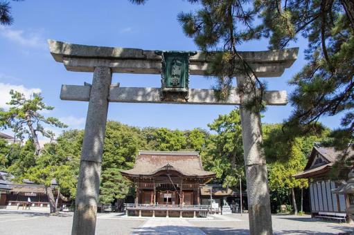 長浜八幡宮 長浜八幡宮 長浜八幡宮,長濱八幡宮,神社の写真素材