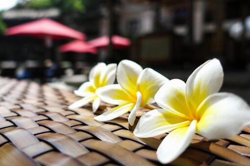 ラタンと南国花のボケ背景 プルメリア,花,ラタンの写真素材