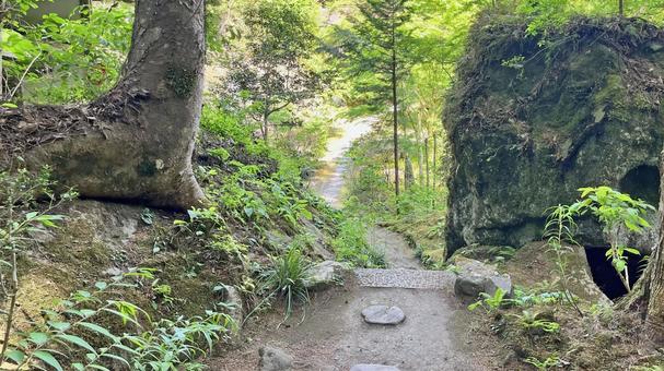 秩父34観音 32番 法性寺 山中の参道 秩父34観音 32番 法性寺 山中の参道 法性寺,般若山,参道の写真素材