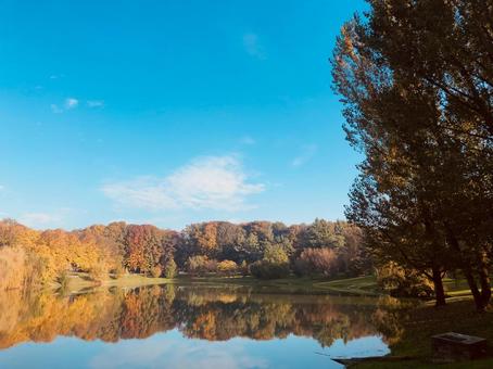 紅葉 紅葉 自然,湖,風景の写真素材