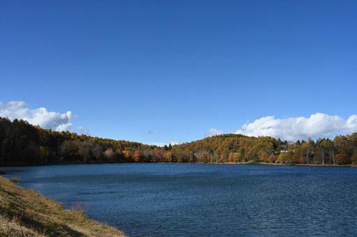 長野県にある女神湖の秋の風景 長野県,女神湖,湖畔の写真素材