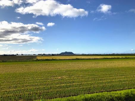 田園地帯に浮かぶ函館山 田園地帯に浮かぶ函館山 函館山,田園,田舎の写真素材