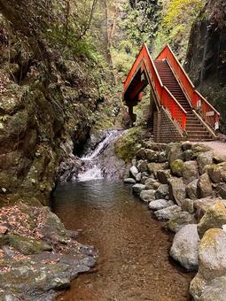 塩川滝４ 岩肌,植物,自然の写真素材
