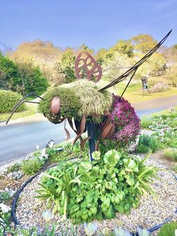 ハチのフラワートピアリー ハチのフラワートピアリー 浜松フラワーパーク,植物園,ハチの写真素材