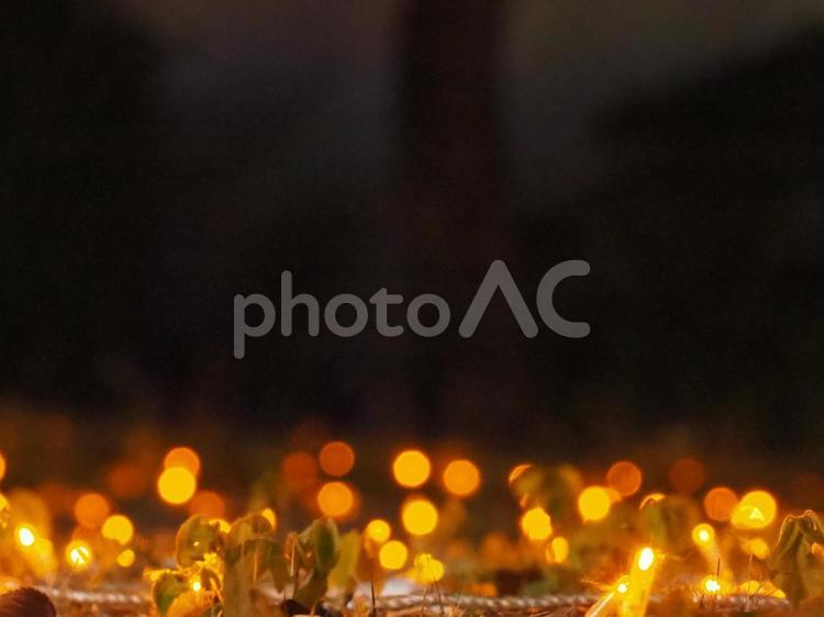 クリスマスイルミネーション クリスマス,イルミネーション,クリスマスイルミネーションの写真素材