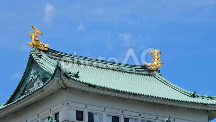 金のシャチホコ 名古屋城,お城,城の写真素材