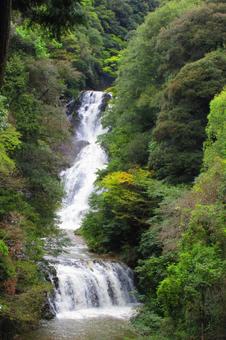 島根県-岩瀧寺の滝 島根県-岩瀧寺の滝 岩瀧寺の滝,滝,滝つぼの写真素材