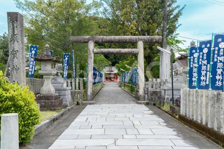 和歌山　阿須賀神社　鳥居 阿須賀神社,阿須賀,神社の写真素材