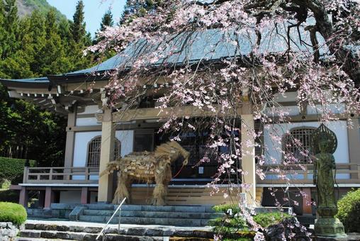 上田市真田の郷長谷寺 上田市真田の郷長谷寺 上田市,信州,真田の写真素材