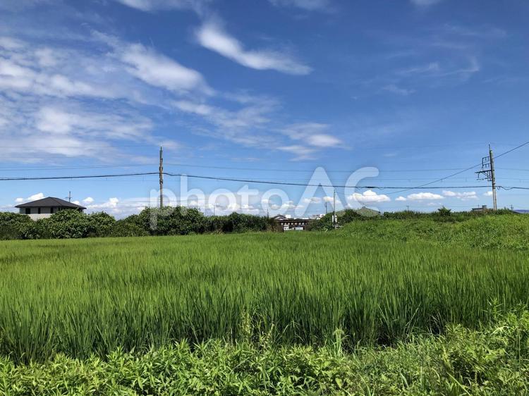 自然豊かな日本の風景 日本,青空,田舎の写真素材